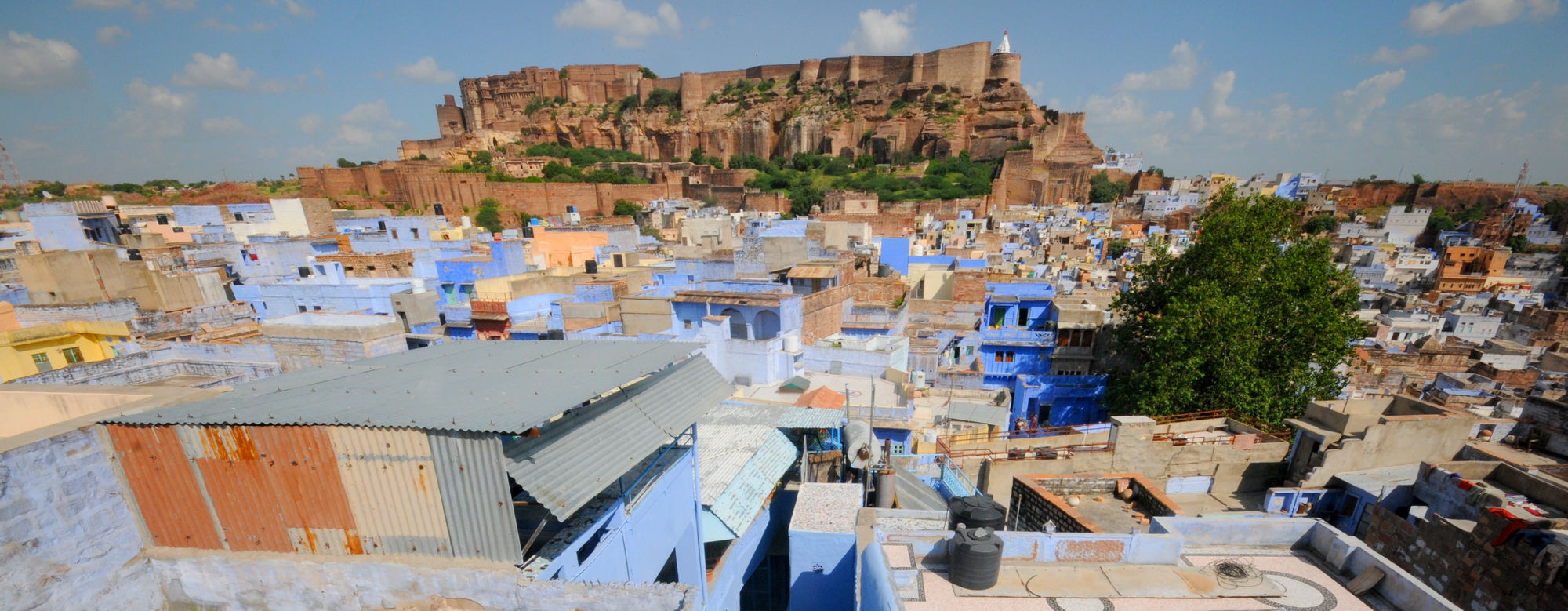 Cosy Guest House Jodhpur  Dış mekan fotoğraf